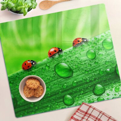 Planche à découper verre Coccinelles sur fond vert