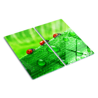Planche à découper verre Coccinelles sur fond vert