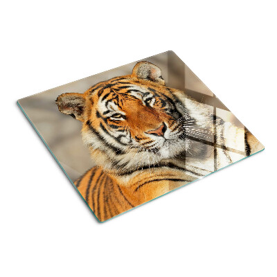 Planche à découper en verre Tigre dans un environnement naturel