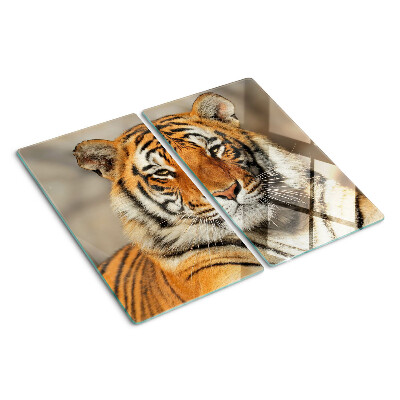 Planche à découper en verre Tigre dans un environnement naturel