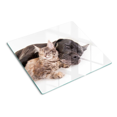 Planche à découper en verre Chat et chien dormant ensemble