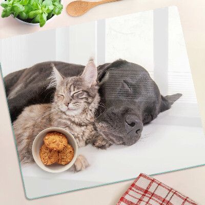 Planche à découper en verre Chat et chien dormant ensemble
