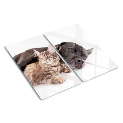 Planche à découper en verre Chat et chien dormant ensemble