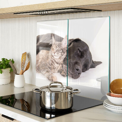 Planche à découper en verre Chat et chien dormant ensemble