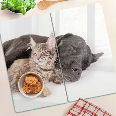 Planche à découper en verre Chat et chien dormant ensemble