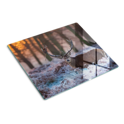 Planche à découper verre Cerf dans la forêt d'hiver