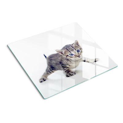 Planche à découper verre Chaton aux yeux bleus