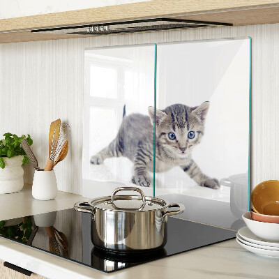 Planche à découper verre Chaton aux yeux bleus