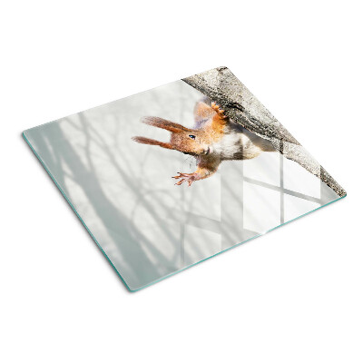 Planche à découper verre Écureuil sur une branche