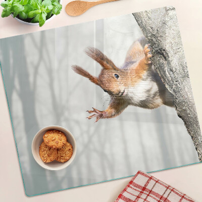 Planche à découper verre Écureuil sur une branche