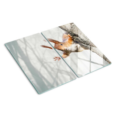 Planche à découper verre Écureuil sur une branche