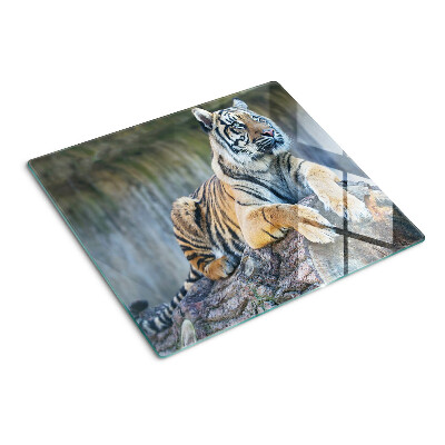 Planche à découper en verre Tigre sur un tronc d'arbre