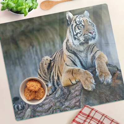 Planche à découper en verre Tigre sur un tronc d'arbre
