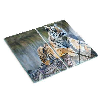 Planche à découper en verre Tigre sur un tronc d'arbre