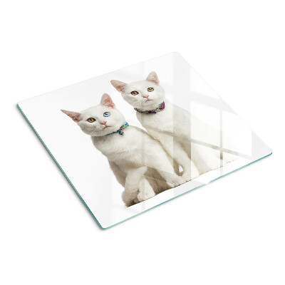 Planche à découper en verre Chats blancs avec des yeux de couleurs différentes