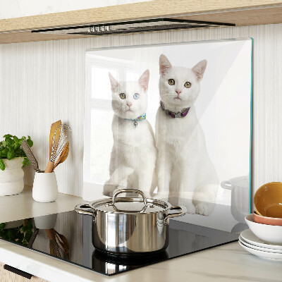 Planche à découper en verre Chats blancs avec des yeux de couleurs différentes