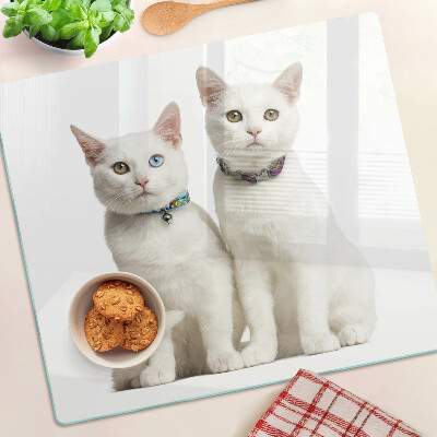 Planche à découper en verre Chats blancs avec des yeux de couleurs différentes