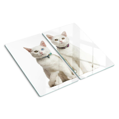 Planche à découper en verre Chats blancs avec des yeux de couleurs différentes