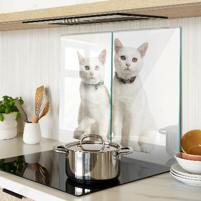Planche à découper en verre Chats blancs avec des yeux de couleurs différentes