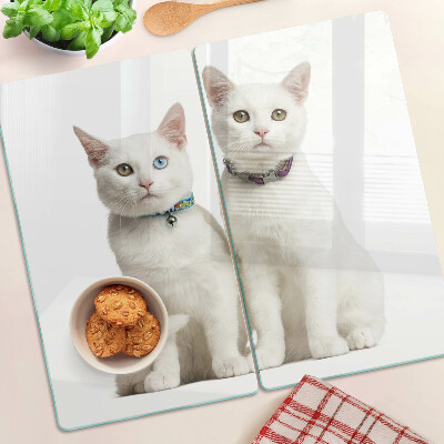 Planche à découper en verre Chats blancs avec des yeux de couleurs différentes