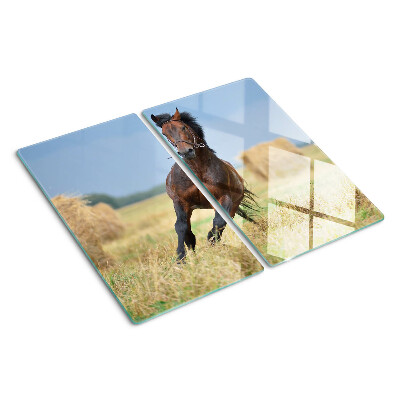 Planche à découper verre Cheval dans le pré