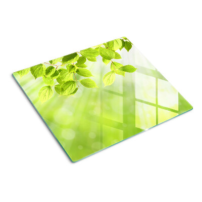 Planche à découper en verre Feuilles vertes contre la lumière