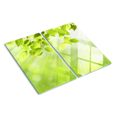 Planche à découper en verre Feuilles vertes contre la lumière