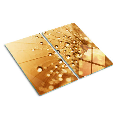 Planche à découper en verre Gouttes d'eau sur un pissenlit