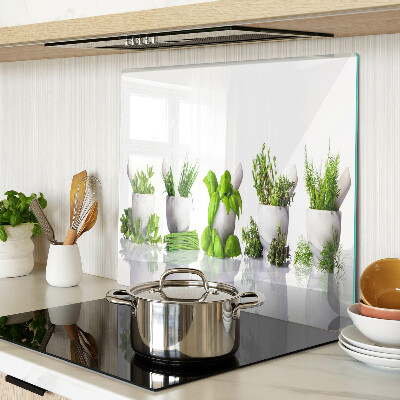 Planche à découper verre Herbes en pots