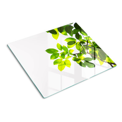Planche à découper verre Feuilles contre un ciel lumineux