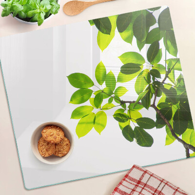 Planche à découper verre Feuilles contre un ciel lumineux