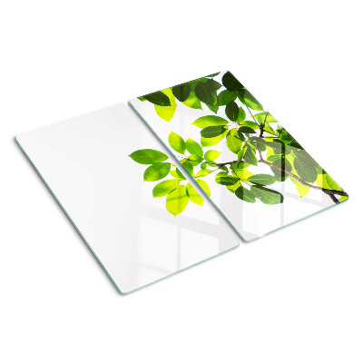 Planche à découper verre Feuilles contre un ciel lumineux