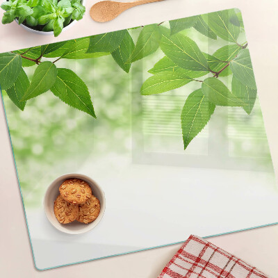 Planche à découper verre Feuilles sur fond vert flou