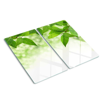 Planche à découper verre Feuilles sur fond vert flou