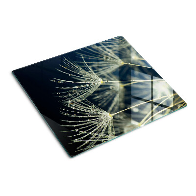 Planche à découper en verre Pissenlits avec des gouttes d'eau
