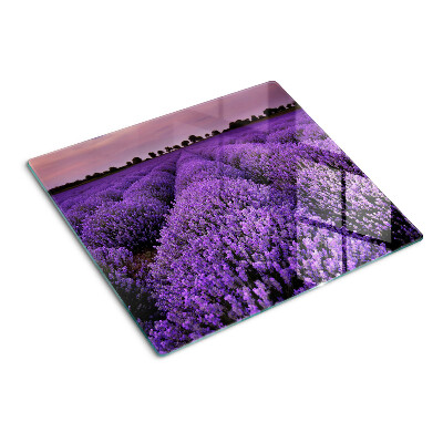 Planche à découper verre Un champ de lavande en pleine floraison