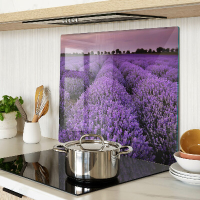 Planche à découper verre Un champ de lavande en pleine floraison
