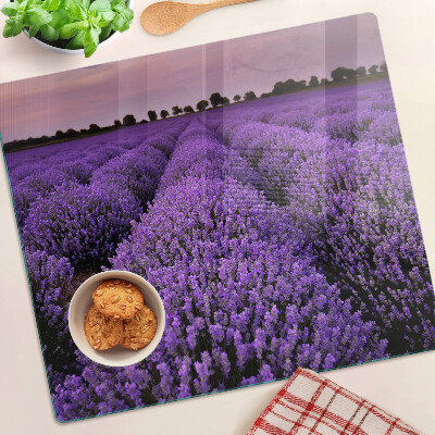 Planche à découper verre Un champ de lavande en pleine floraison