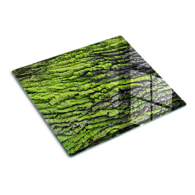 Planche à découper verre Écorce d'arbre verte