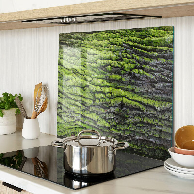 Planche à découper verre Écorce d'arbre verte