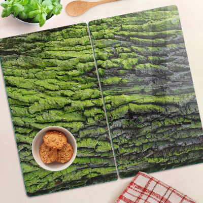 Planche à découper verre Écorce d'arbre verte