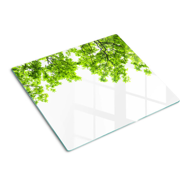 Planche à découper en verre Feuilles vertes contre le ciel