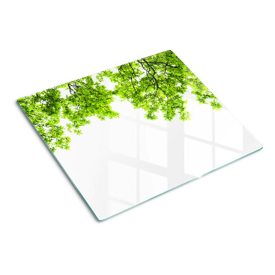 Planche à découper en verre Feuilles vertes contre le ciel