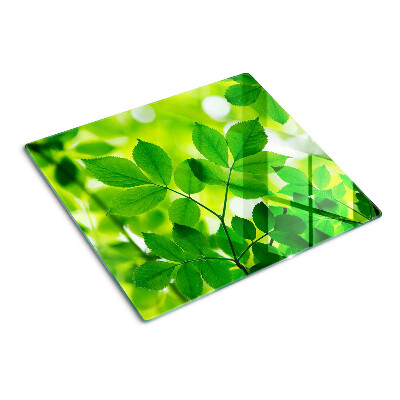 Planche à découper verre Feuilles sur fond vert