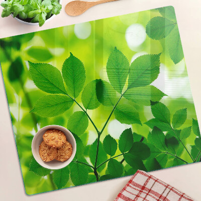Planche à découper verre Feuilles sur fond vert