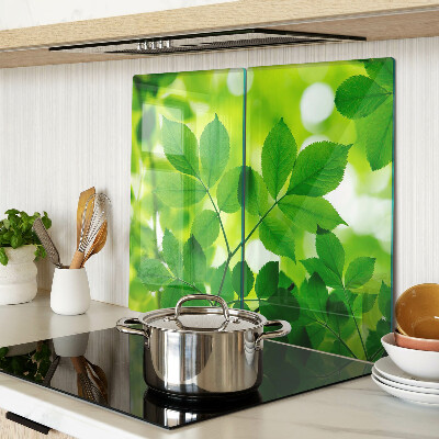 Planche à découper verre Feuilles sur fond vert