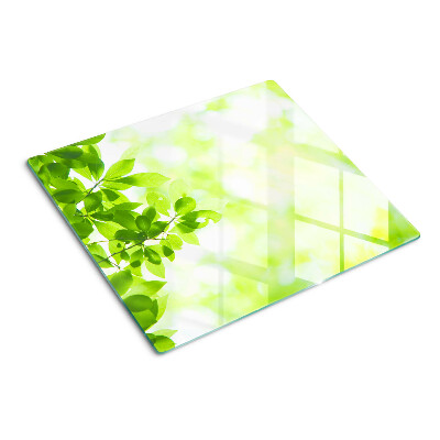 Planche à découper verre Feuilles vertes à la lumière