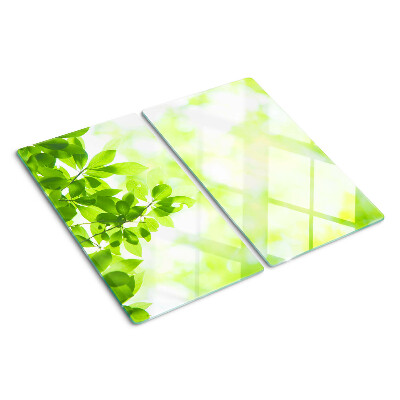 Planche à découper verre Feuilles vertes à la lumière