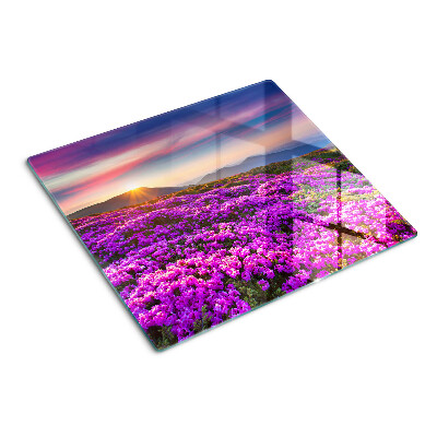 Planche à découper verre Paysage fleuri au coucher du soleil