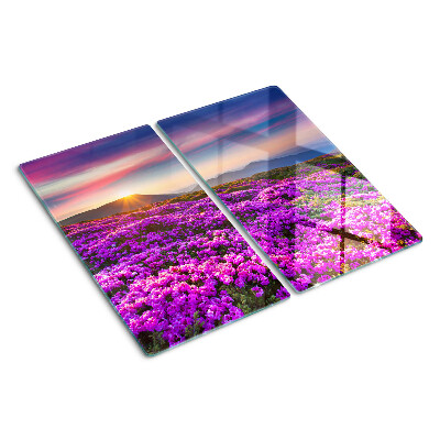 Planche à découper verre Paysage fleuri au coucher du soleil
